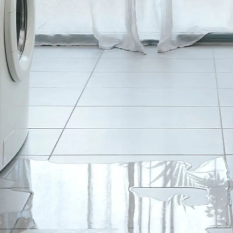 Appliance Leak Cleanup in Grafton, NH